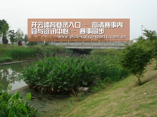 案例展示四(图1)