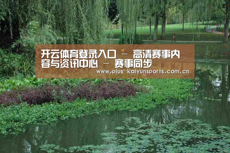 案例展示一(图1)