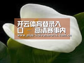 产品名称七