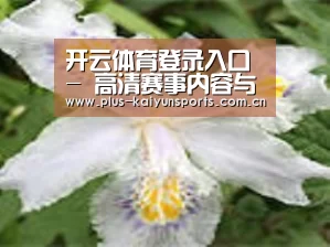 产品名称二