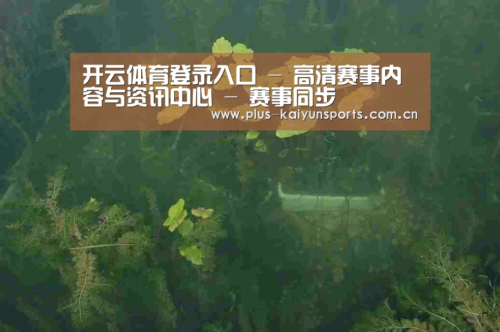 案例展示三