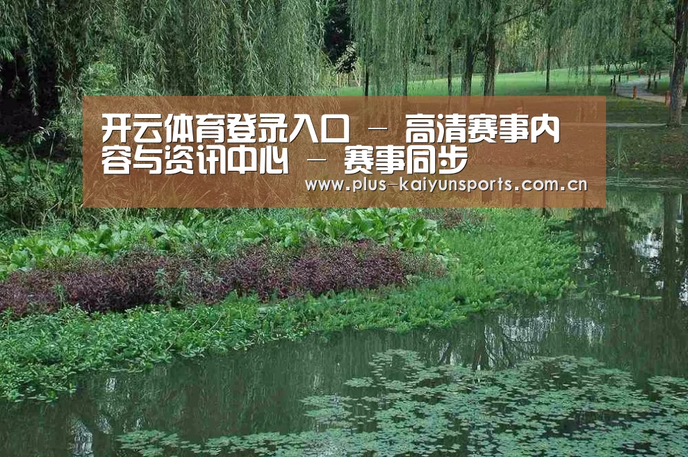 案例展示一