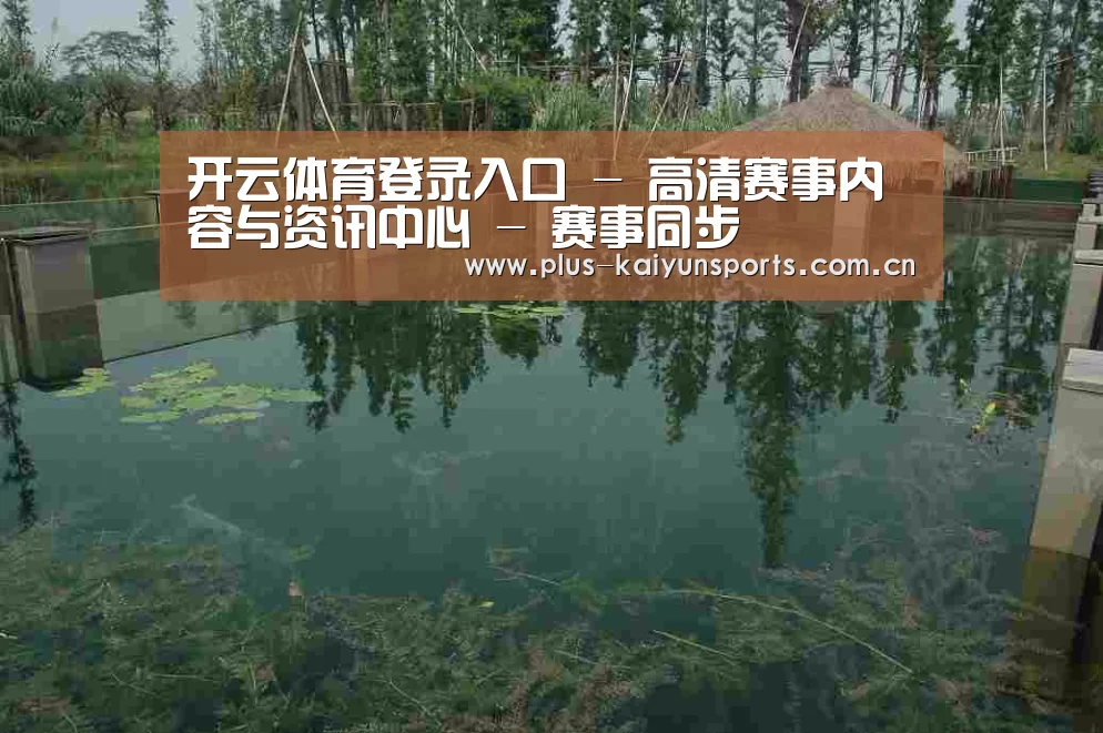 案例展示二
