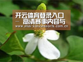 产品名称三