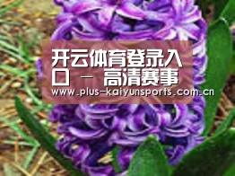 产品名称八