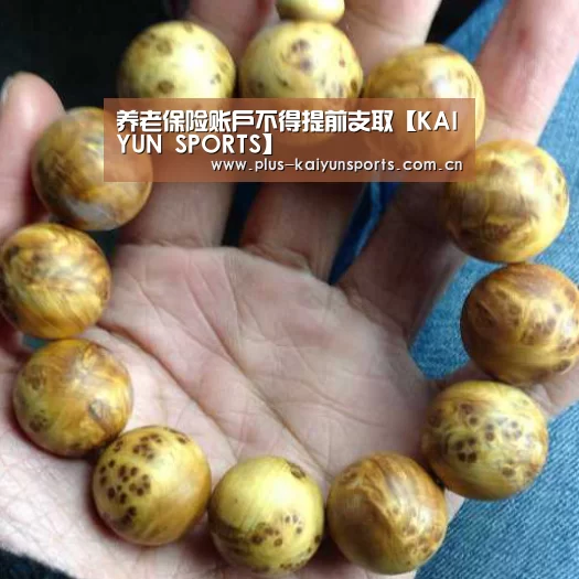 养老保险账户不得提前支取【KAIYUN SPORTS】(图1) 开云体育官方入口
