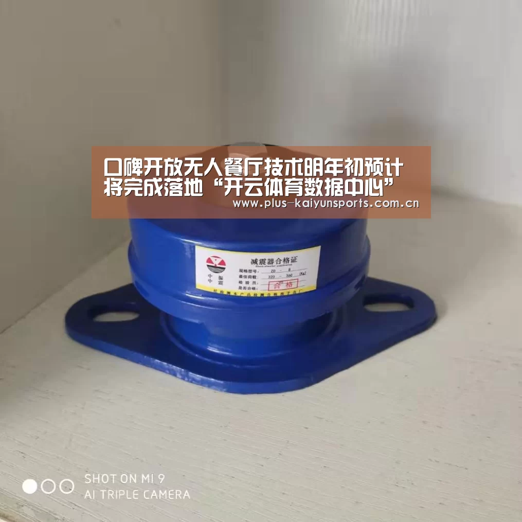 口碑开放无人餐厅技术明年初预计将完成落地“开云体育数据中心”(图3) 开云体育官方入口