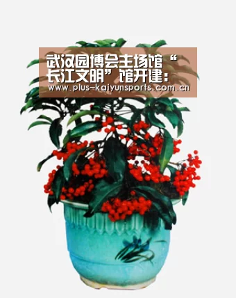 开云体育数据中心