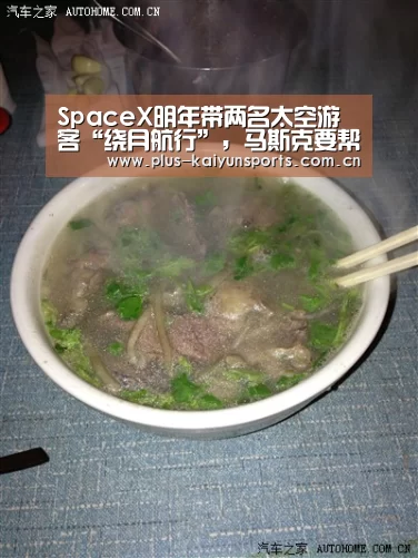 SpaceX明年带两名太空游客“绕月航行”,马斯克要帮美国恢复载人航天_开云体育官方入口(图1) KAIYUN SPORTS