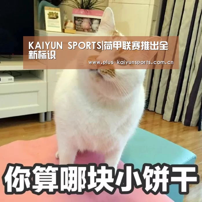KAIYUN SPORTS|荷甲联赛推出全新标识(图2) 开云体育数据中心