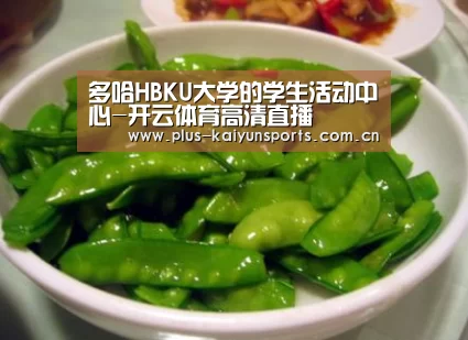 开云体育官方入口