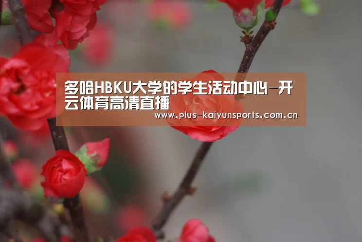 KAIYUN SPORTS
