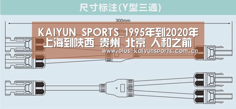 KAIYUN SPORTS_1995年到2020年 上海到陕西 贵州 北京 人和